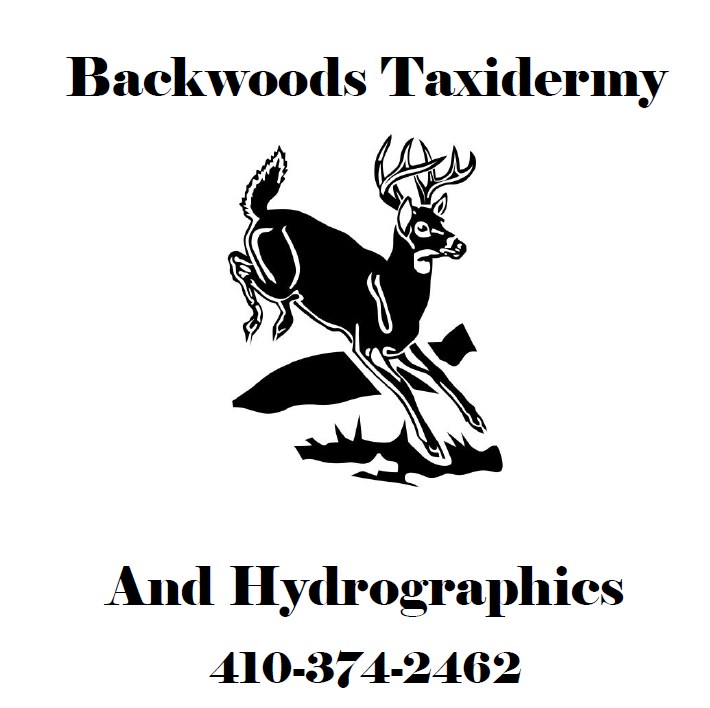 Backwoods Taxidermy